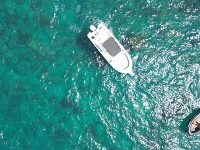  Excursions en bateau à Tenerife