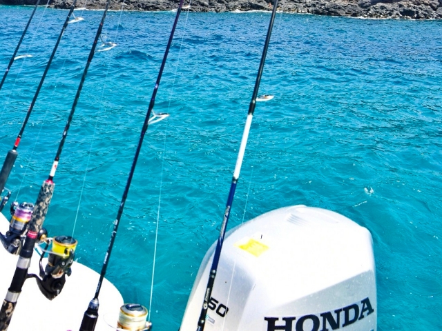 Cannes à pêche prêtes 