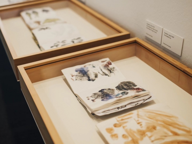  Exposição de arte 