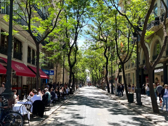 Calles de Valencia
