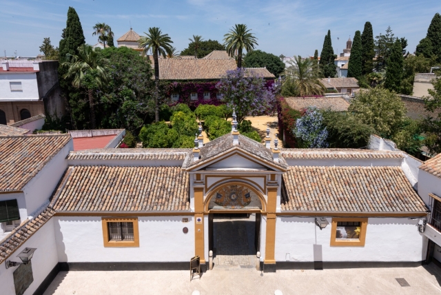 Exterior of the Las Dueñas Palace 