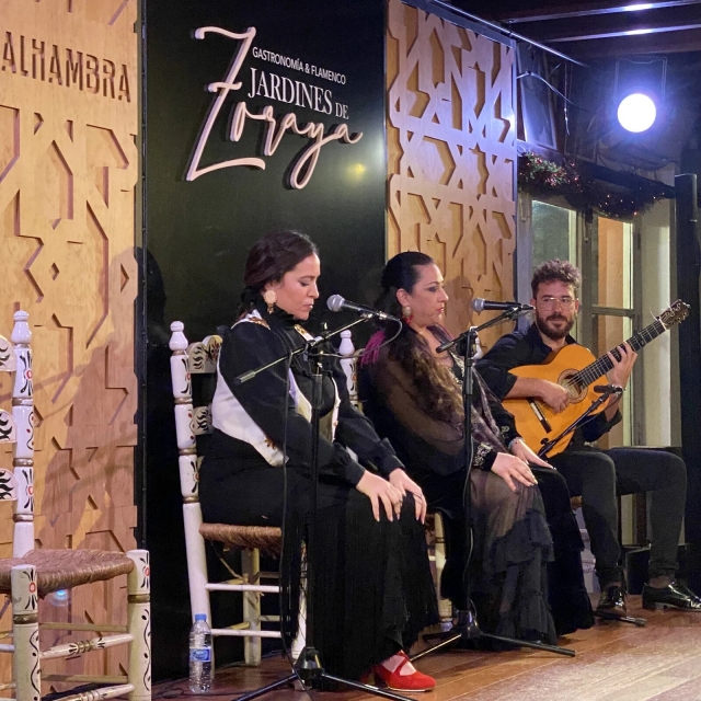  Guitarists and singers 