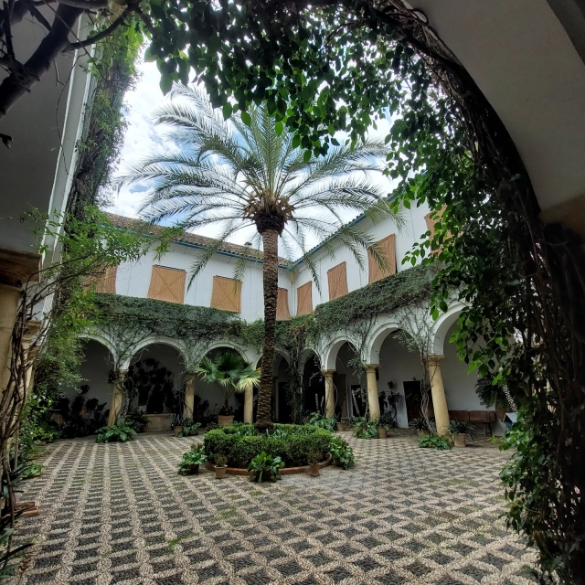  Bäume in den Innenhöfen des Palastes