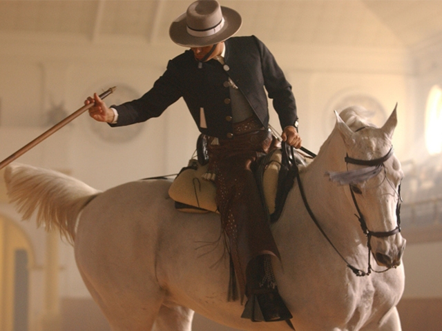  Spettacolo di danza equestre 
