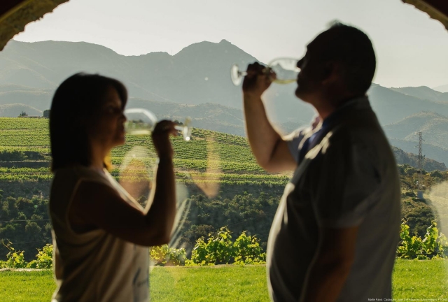  Dégustation de vin 