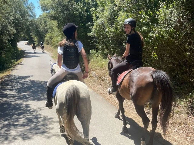  Percurso equestre em ambiente natural 