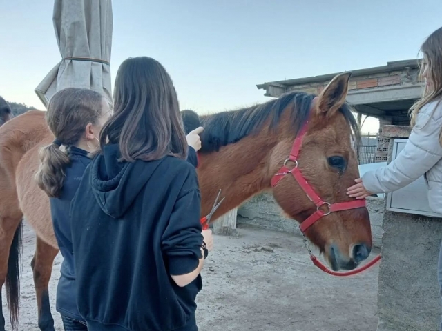  Cuidando dos cavalos 