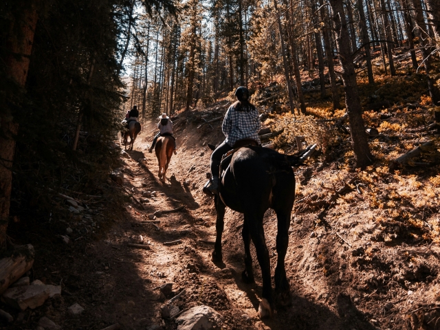  Horseback riding in the Picos de Europa 