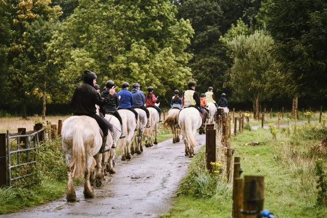  Equestrian experience in the Cantabrian environment 