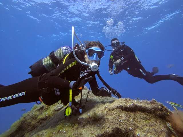 Inmersión de buceo