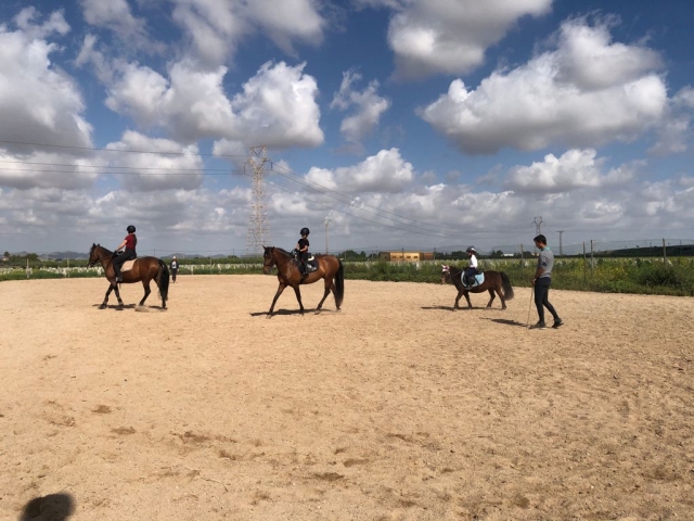  Corsi per imparare a cavalcare a Cartagena 