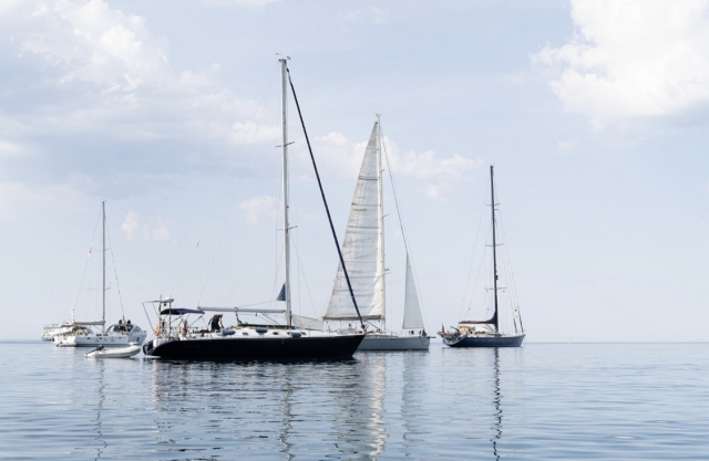 Descubre nuestros barcos