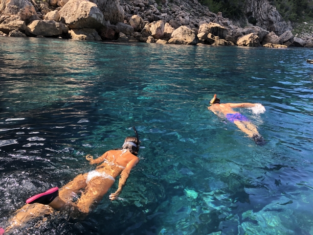 Snorkel