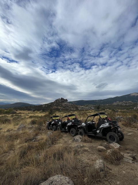 res_o-66004-buggies_de_sara-jumillas_img-6304_1760900648348.jpeg