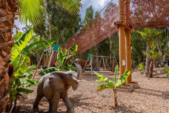  Park for kids and old