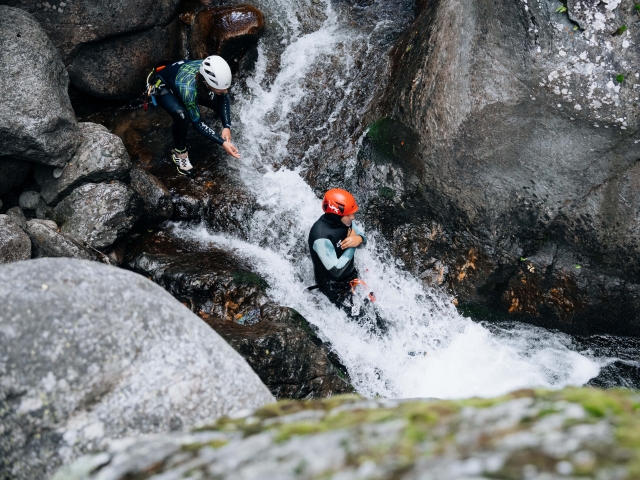  Aquatico abogán 
