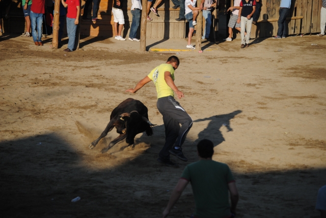  Doding the Heifer