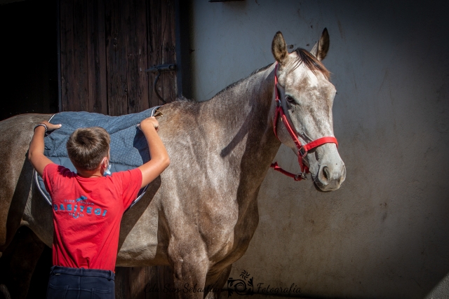 Aprende a saltar a caballo