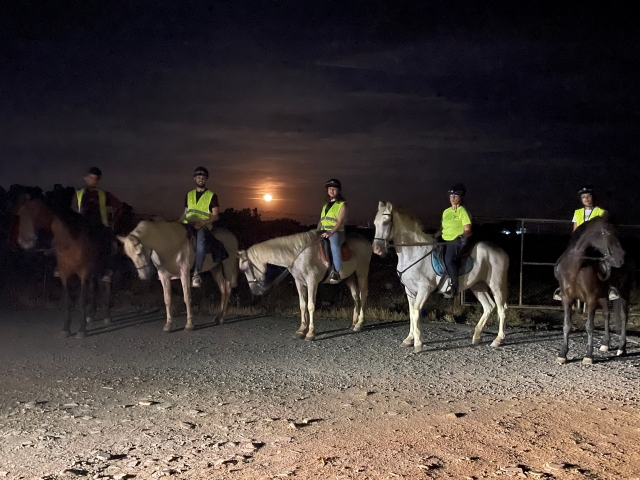 e-19865858-caballos-por-la-noche17446394971744639548434.jpg
