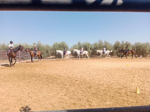 e-19865859-clase-de-equitacion174470628217447067747693.jpg