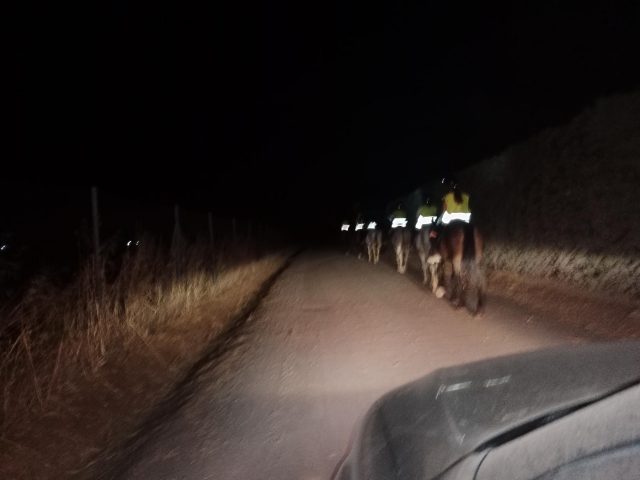 e-19865859-ruta-nocturna174470628217447067799822.jpg