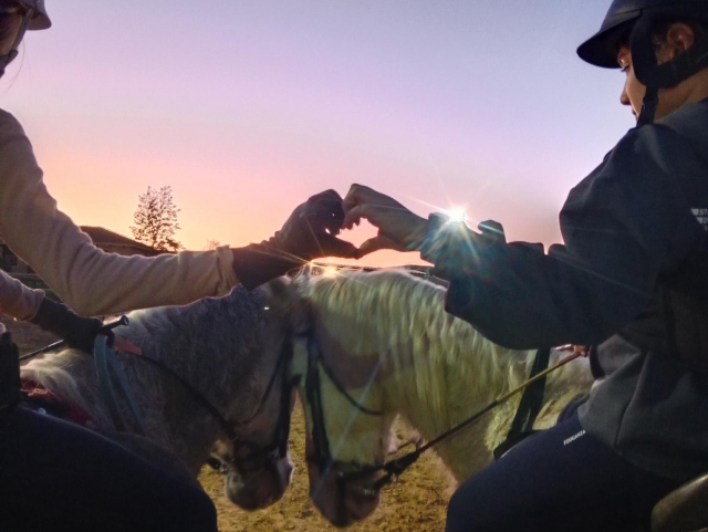  Percorso equestre a Córdoba 