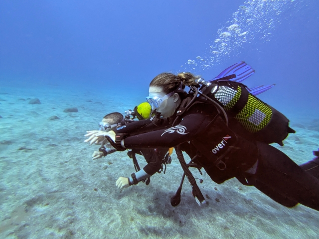 Experiencias de buceo en El Hierro 