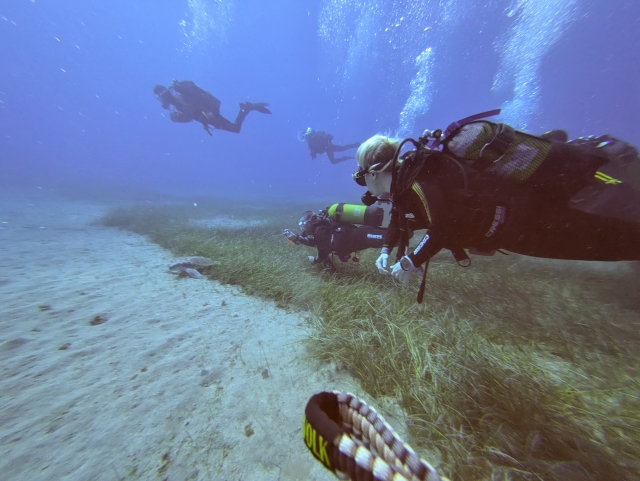 Disfruta de una experiencia subacuática en El Hierro 