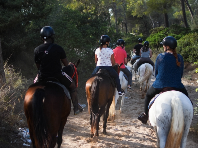  Routes de chevaux à Alcúdia 
