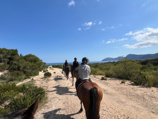  Horses à Mallorca