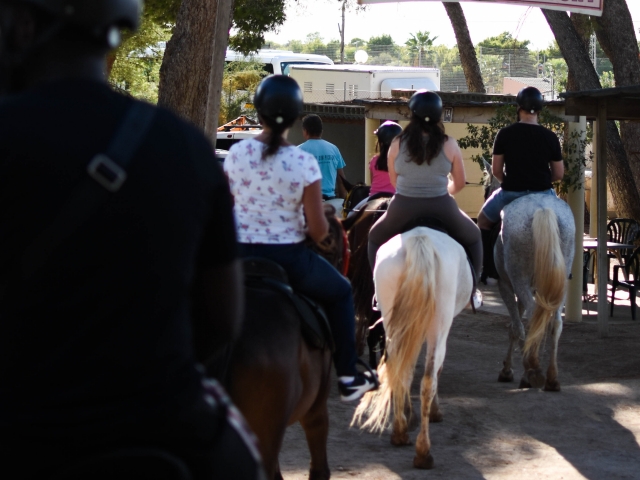  Excursion équestre 