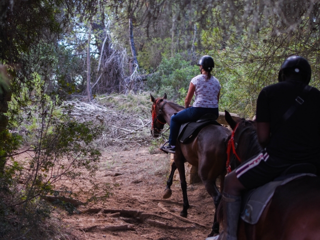  Route de cheval à Majorque 