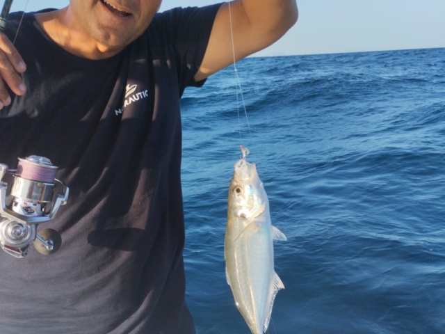 Pesca en Alicante