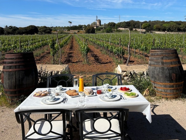 Enoturismo en Mallorca