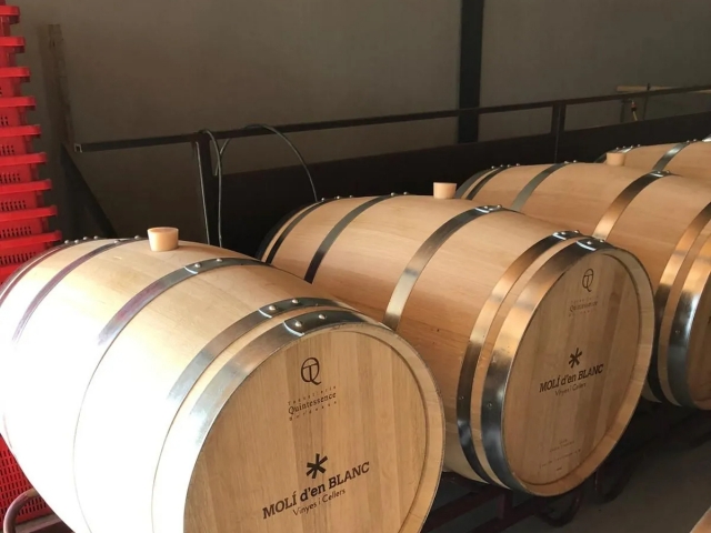 Visita nuestra bodega