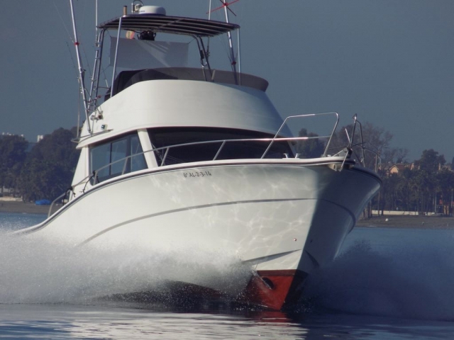 Chárter de pesca en Marbella
