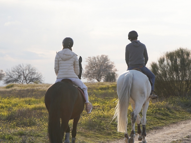 Paseo a caballo en Madrid