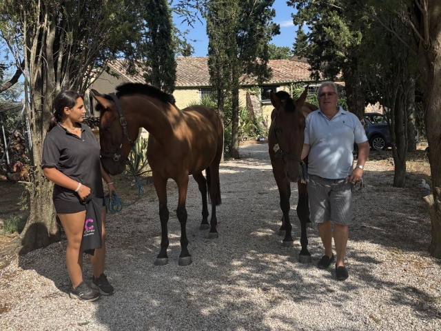 Listos para disfrutar de un paseo a caballo 