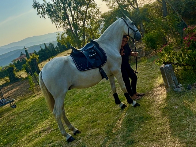 Experiencia a caballo por el Pantano de Darnius