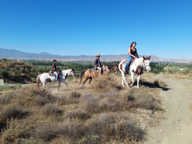 Excursiones para todos los niveles