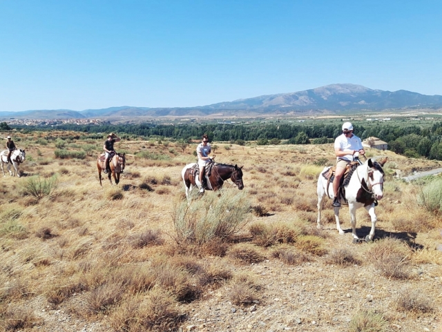 Rutas a caballo en Granada