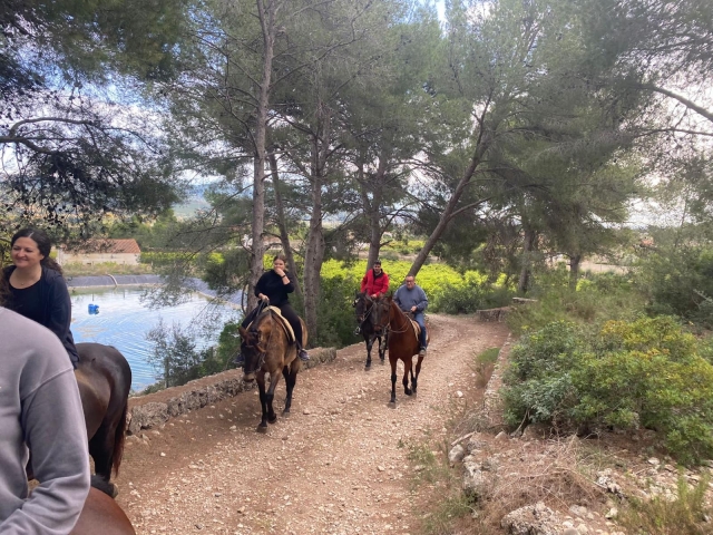  Horse walk 