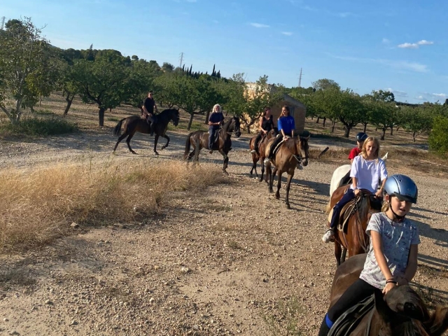  Horse Route for Tortosa