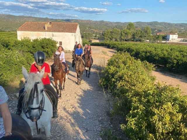  Horse Routes in Tarragona 