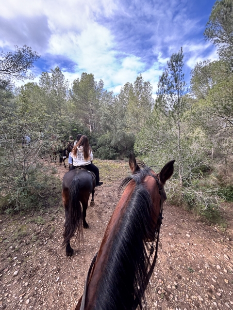 Bewertung von Paula Über Pferdeweg für die Baix Ebre, 1H30 Minuten