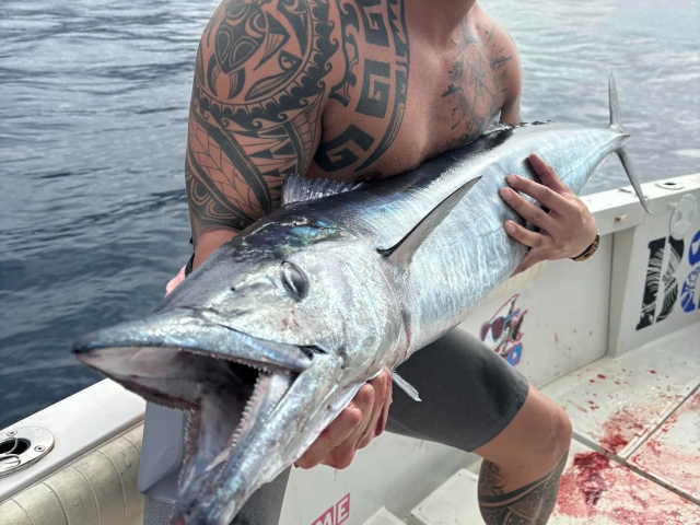 e-19866754-pesca-en-tenerife175793861917579433603801.jpg