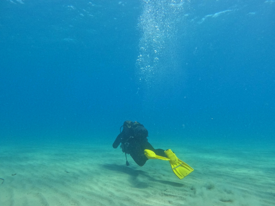 Tauchtaufe   Tauchtaufe