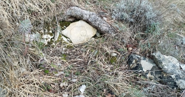  Visita Hoz de Beteta e Fuente del Oso