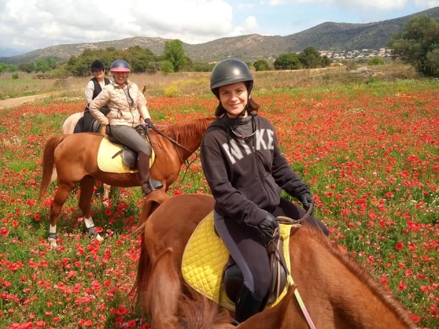  赫罗纳骑马路线 