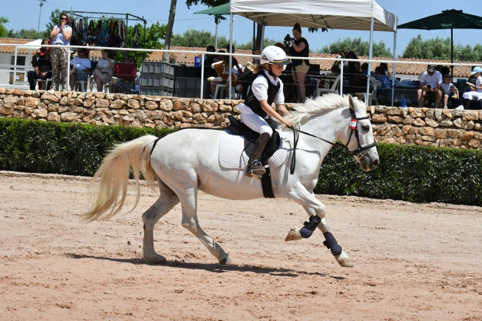  赫罗纳骑马路线 